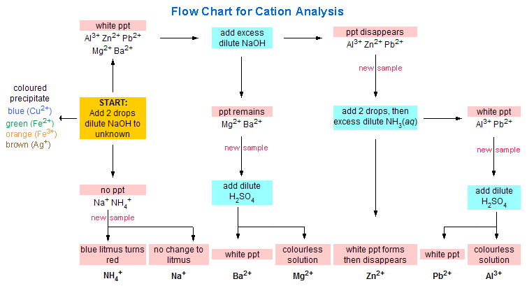 Cation Analysis Flow Chart